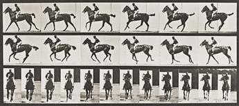 EADWEARD MUYBRIDGE (1830-1904) A selection of 4 plates representing horses from Animal Locomotion. 1887.